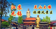 襙网站江苏无锡灵山大佛旅游风景区